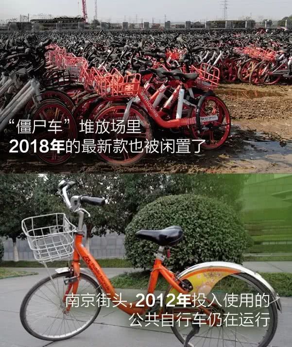 每天跑步多久才能起到减肥——男人的天堂东京av专区，探索摄影艺术的光学魔法