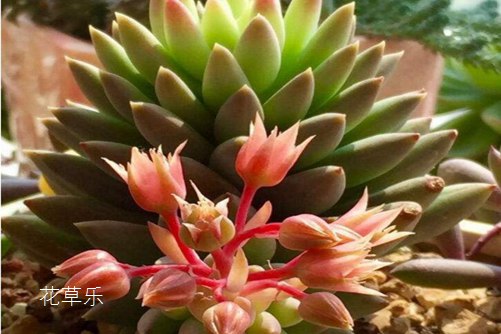 镜头的湿度男人的天堂东京av专区，揭示摄影背后的情感深度与生活哲学