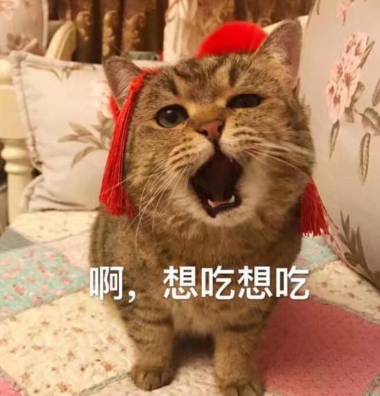 数码相机镜头伸缩机构——，科技与艺术的巧妙融合